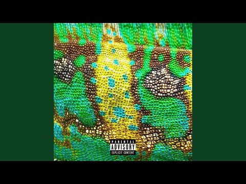 In My Bag (Chameleon)