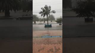 Lluvia y Granizada en el Tintal Kennedy Bogota Colombia #travel