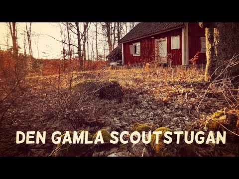DEN GAMLA SCOUTSTUGAN i RONNEBYSKOGARNA - 210308 - Blekinge - Huawei p30 PRO