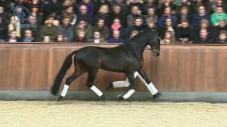 Video of Rockefeller