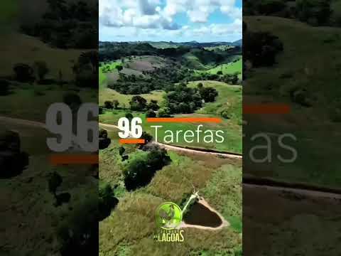 Fazenda à venda com 96 tarefas em Pindoba Alagoas!!