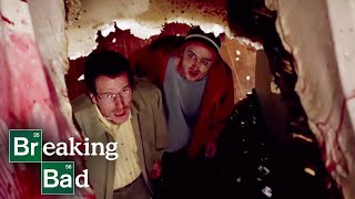 Hydrofluoric Acid Burns The Bathtub – Cat’s in the Bag…