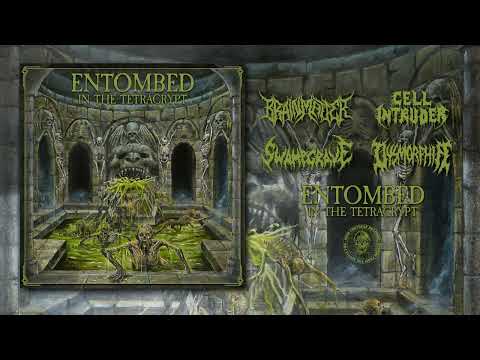BRAIN MATTER, SWAMPGRAVE, CELL INTRUDER, DYSMORPHIA - ENTOMBED IN THE TETRACRYPT (Split) - IFR 2025