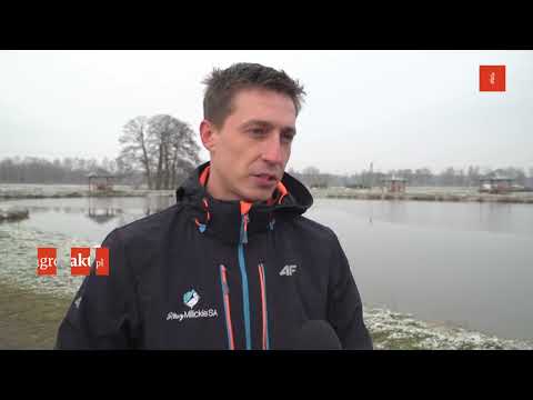 Bez karpia nie ma świąt. Zobacz hodowle ryb w Miliczu – 22 grudnia 2017