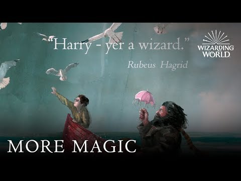 20 let s Harrym Potterem