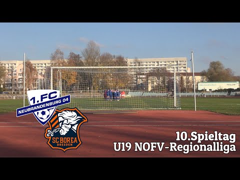 1.FC Neubrandenburg 04 U19 - SC Borea Dresden U19 (8.11.2025)