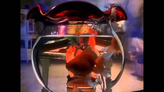 x-ray four: Mats Gustafsson - excerpt from Piano Mating