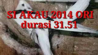 Download lagu AKAU 2014 ORIGINAL. SUARA BURUNG WALET INAP mp3