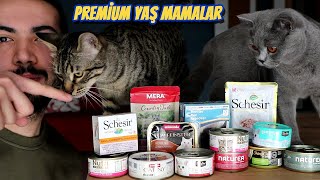PREMİUM YAŞ KEDİ MAMALARI KIYASLAMASI 😻 (En İyi Kedi Mamaları)