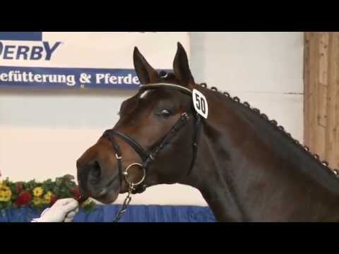 Los Angeles - Contender - KN 66