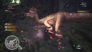 【MHW】関西人ハンター♀、狩りに行く！Part2-3