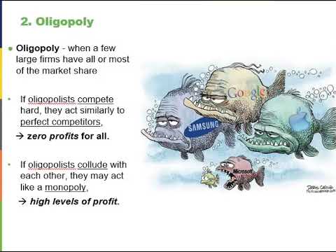 Oligopoly