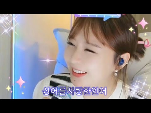 진진경 상어를사랑한인어 조관우