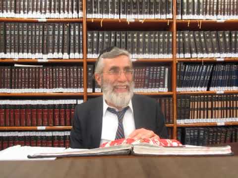 הרב יהושע ביבי - תשפ"ו - עמידה - שיעור מס' 164 - שי' השד''ה דלאה שבשכמל''ו איירי בחיצוניות דפנימיות