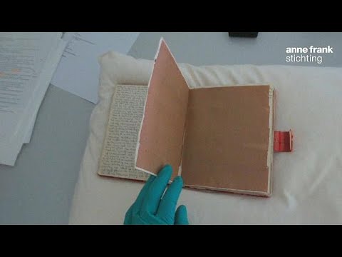 Oli di faccia cosmetici da rughe di soggetti a chi per 50 Spazzole cosmetiche per la persona