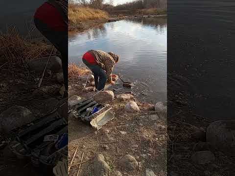 Only Fish Of The Day.