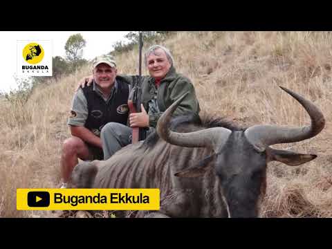 okuloota nga oyigga nokwasa  - Ebirooto Namakulu Gaabyo - Buganda Ekkula