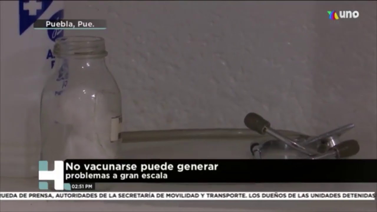 Elsa Moran  Rodriguez-24