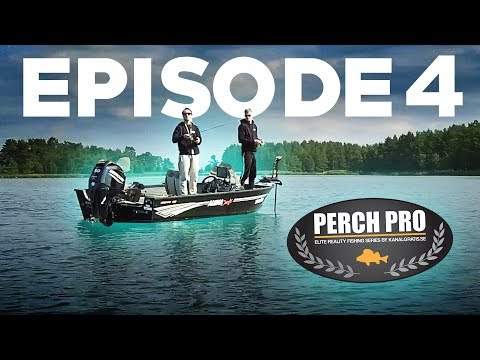 PERCH PRO 6 - Episode 4 (Deutsche Untertitel)