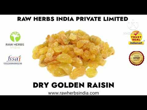 Dry Golden Raisins