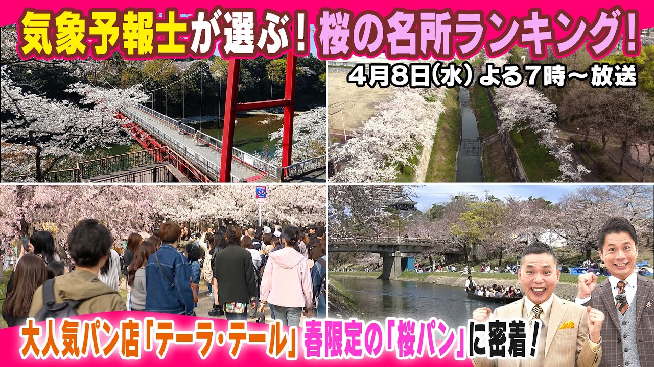 【太田×石井のデララバ】愛知岐阜三重　桜の名所