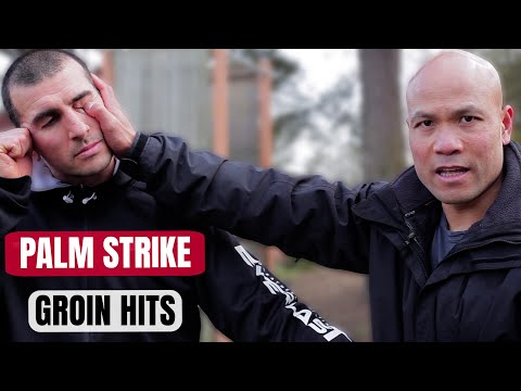 How to Counterattack from the Punch for Self Defense