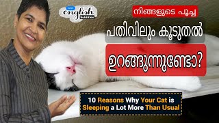 Know The Reasons Why Your Cat is Sleeping a Lot More Than Usual | Cat Care Guide @NANDASPets