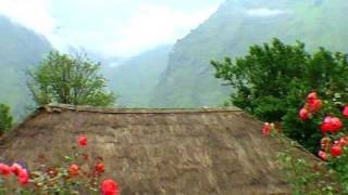 Roadside Fields at Joshimath, Uttarakhand