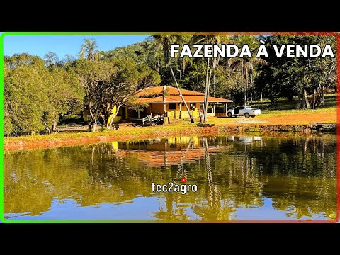 🌱 17 ALQUEIRES EM PIRENÓPOLIS - FAZENDA À VENDA EM GOIÁS [🌱DUPLA APTIDÃO] #fazenda #tec2agro #agro