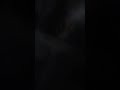 Venus Dora The Explorer Parody 2