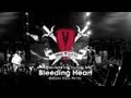 David Vendetta - Bleeding Heart (Balazko Enjoy ...
