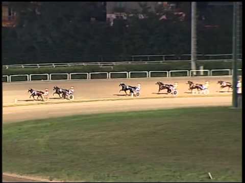 Trotto 04/09/2014 - 2° prova di qualifica