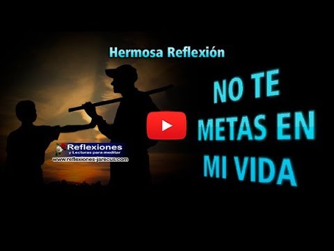 No Te Metas En Mi Vida - Reflexiones de consejo familiar