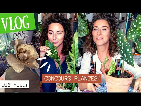 Vlog 100% PLANTES :  DIY fleur papier crépon, rempotage/ bouturage  & méga concours,!