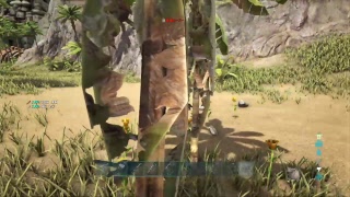 Ps4 実況放送  初見歓迎！？　ARK 公式サーバー　ラグナロクへ準備　資源集め