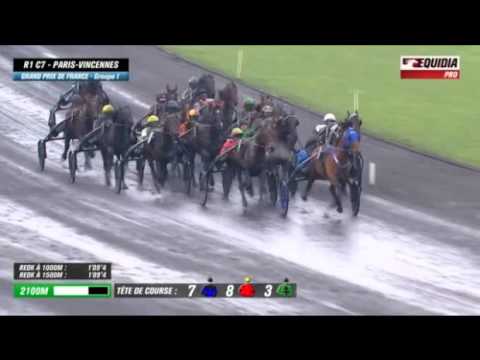Bold Eagle-Prix de France 2016