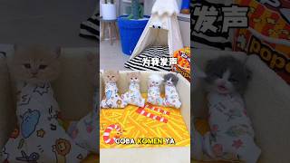 Download lagu para Anabul ngumpet di kamar Babu #shorts #kucinglucu #kucing #shortsindonesia mp3