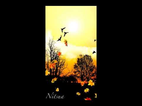 Nitsua - Finally