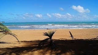 preview picture of video 'Beach Front Condo Sale Rio Grande Puerto Rico Apartamento Venta'