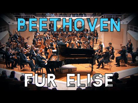 Beethoven - Für Elise - Berliner Philharmonie | Piano & Orchestra