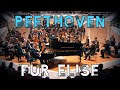 Beethoven - Für Elise - Berliner Philharmonie | Piano & Orchestra