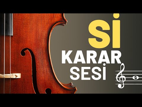 Si Dem Sesi | Taksim Çalışması