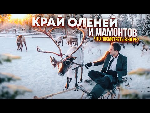 Югра без цензуры: трудности и тайны жизни оленеводов Ханты-Мансийска. Край древних мамонтов