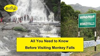 Monkey Falls