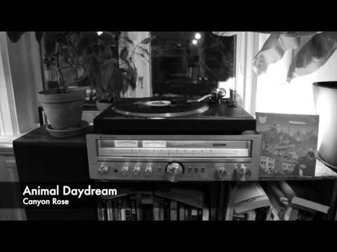 Animal Daydream - Canyon Rose