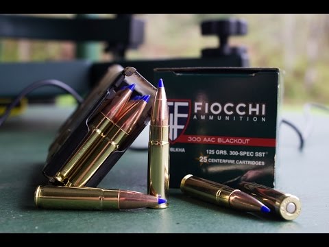 Fiocchi 125gr SST - 300 Blackout Ammo Test