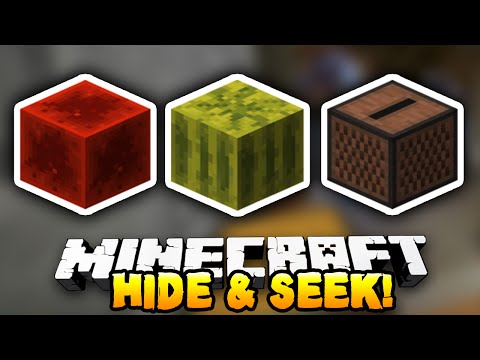 Crazy Minecraft Hide & Seek w/ Preston & Vikkstar123!