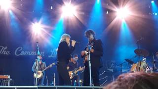 The Common Linnets - Share A Perfect Day - Days Of Endless Time