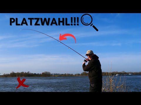 Zanderangeln im Winter am Rhein - WIE GEHT ES NOCH EINFACHER - Jeder kann das, du auch!