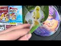 Sleeping Beauty 2008 DVD Review